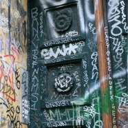 photo4.jpg
