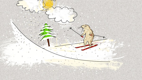 Loading Image