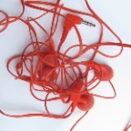 Photo1.jpg