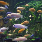 Photo_Title_2.jpg