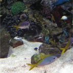 Photo_Title_4.jpg