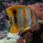Photo_Title_5.jpg