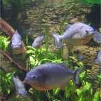 Photo_Title_1.jpg