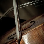 Photo1.jpg