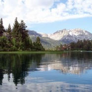 photo_7