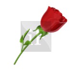 Clipart