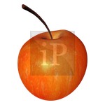 Clipart